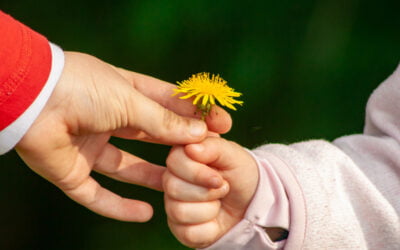 Building Empathy in Children