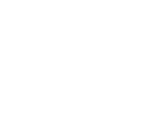 Brave Play