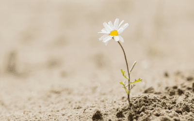 Building Resilience in Challenging Times