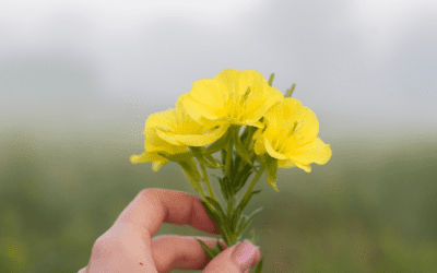 Fresh Start For Spring